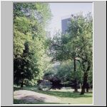Central Park4.jpg